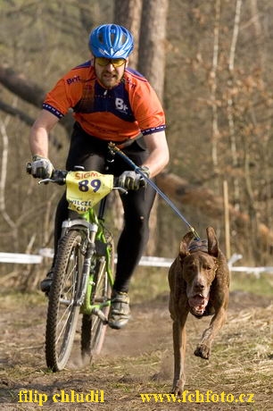 Polsko 2005 - 500.jpg